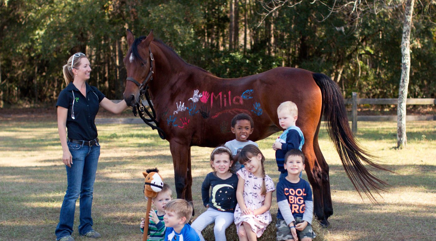 Rock Spring Grey Rabbit Ranch About Us | Rock Springs Guest Ranch