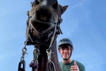Low-angle view of a person giving a thumbs-up while riding a horse under a clear blue sky.